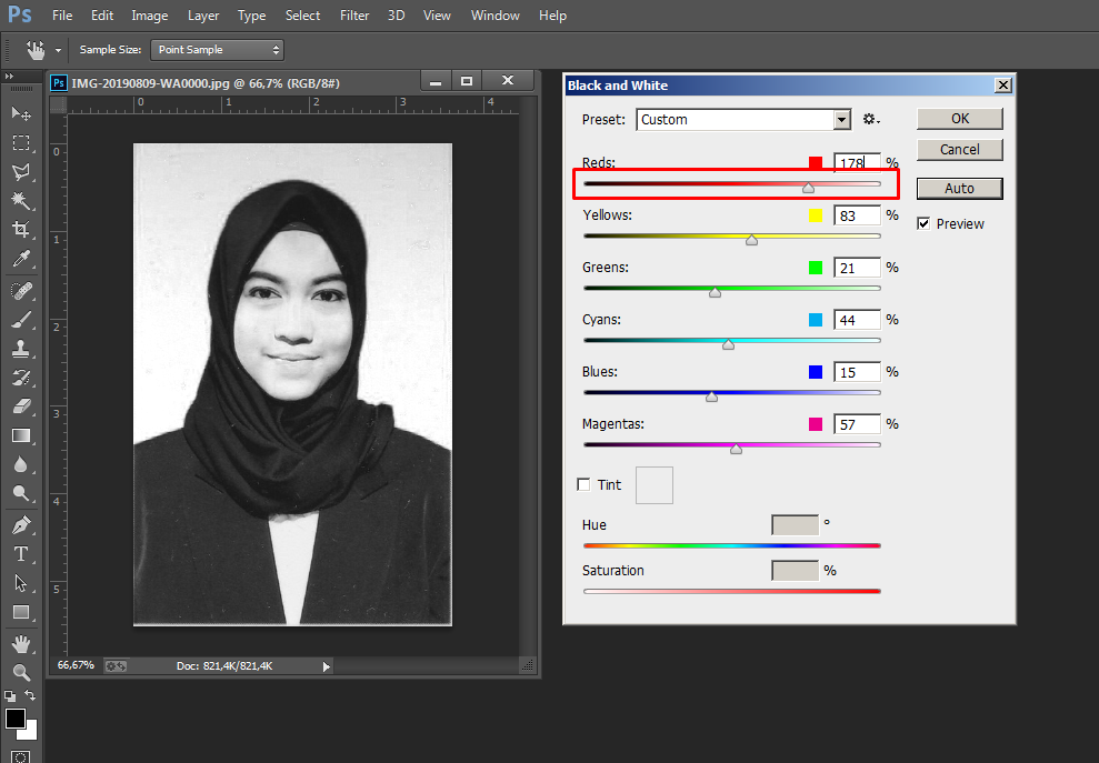 Mengubah foto berwarna menjadi hitam putih di Adobe Photoshop CC
